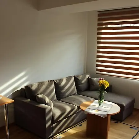 Cozy Convenient In Apartament